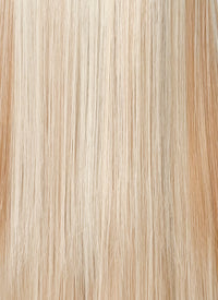 Blonde With Brown Highlights Straight Lace Front Kanekalon Synthetic Hair Wig LF3330