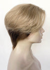 Blonde Brown Peekaboo Straight Lace Front Synthetic Hair Wig LF6108