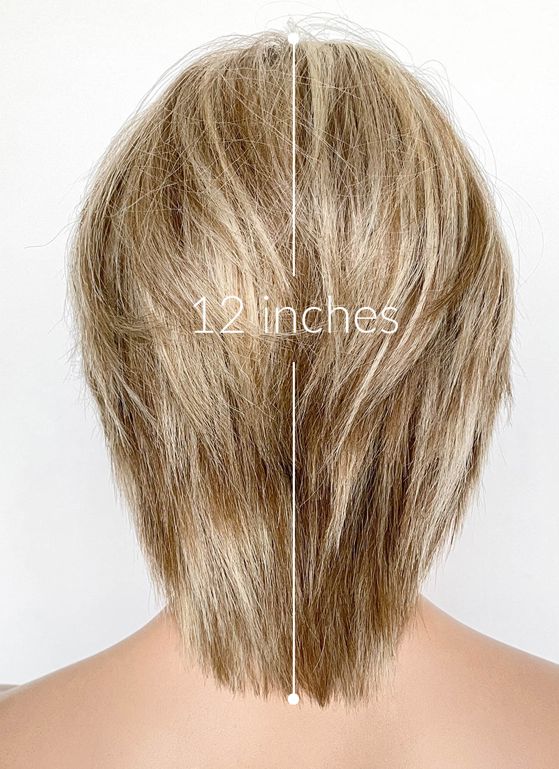 Brown Mixed Blonde Straight 13" x 6" Lace Top Kanekalon Synthetic Hair Wig LF8019