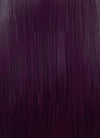 Dark Purple Straight 13" x 6" Lace Top Kanekalon Synthetic Wig LFS026