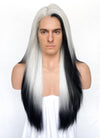 Grey Mixed Black Straight Lace Front Synthetic Wig LN6039