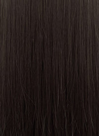 Brunette Straight Synthetic Hair Wig NS540