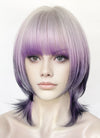 Grey Purple Mixed Straight Synthetic Hair Wig NS586