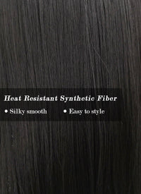 Straight Jet Black Synthetic Wig TBZ871